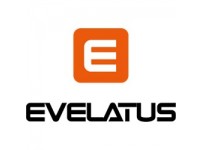 Evelatus